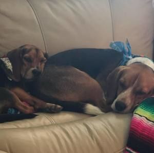 Meet your Posher, Mj